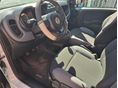 FIAT PANDA 2020/9 - 5