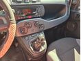 FIAT PANDA 2020/9 - 8