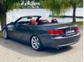 BMW 330 2007/12 - 4