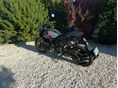 INDIAN FTR 1200 2023/8 - 7