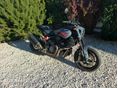 INDIAN FTR 1200 2023/8 - 2