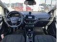 FORD FIESTA 2018/11 - 8