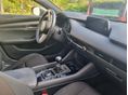 MAZDA 3 2019 - 5