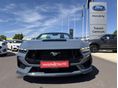 FORD MUSTANG 2024/11 - 3