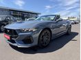 FORD MUSTANG 2024/11 - 4