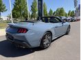 FORD MUSTANG 2024/11 - 9