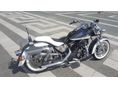 HARLEY-DAVIDSON SPORTSTER 1200 CUSTOM 