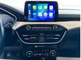 FORD FOCUS 2021/5 - 9