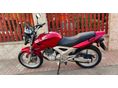 HONDA CBF 250 2006/6 - 4