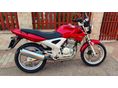 HONDA CBF 250 2006/6 - 5