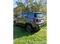 JEEP RENEGADE 2019 - 3