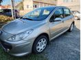 PEUGEOT 307 1.4 Symbole