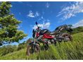 BENELLI BN 302 2016/6 - 5