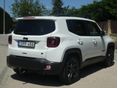 JEEP RENEGADE 2021/5 - 2
