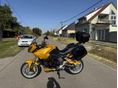 TRIUMPH TIGER 1050 2007/3 - 2