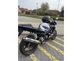 HONDA CBR 600 FS 2002/10 - 2