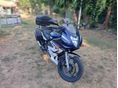 SUZUKI GS 500 F 2006/5 - 3