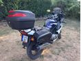 SUZUKI GS 500 F 2006/5 - 4