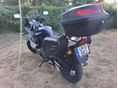 SUZUKI GS 500 F 2006/5 - 5