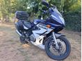SUZUKI GS 500 F 2006/5 - 8