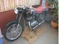 PANNONIA T1 1963/5 - 5