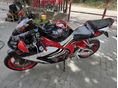 HONDA CBR 1000 RR 2005/3 - 3