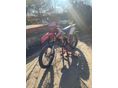 BETAMOTOR RR 450 2008/1 - 2