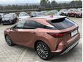 LEXUS RX 2023/11 - 4