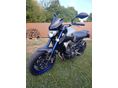 YAMAHA MT-09 2015/8 - 6