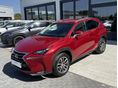 LEXUS NX 300h Executive Plus Safety CVT + 2 év Lexus Select Garancia