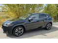 LEXUS UX 2021/7 - 4