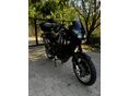 TRIUMPH TIGER 955I 2002/4 - 6