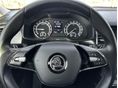 SKODA KODIAQ 2021/4 - 20