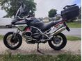 MOTO GUZZI STELVIO 2009/7 - 5