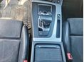 AUDI Q5 2019/2 - 10