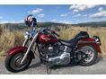HARLEY-DAVIDSON FAT BOY 2004/1 - 7