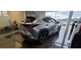 LEXUS NX 2026 - 5