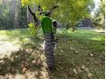 KAWASAKI KX 450 F 2022/11 - 3