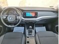 SKODA OCTAVIA 2023/10 - 8