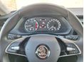 SKODA OCTAVIA 2023/10 - 10