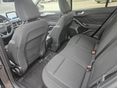 FORD FOCUS 2021/1 - 10