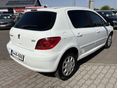 PEUGEOT 307 2002/4 - 7