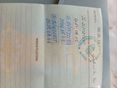 MZ ETZ 250 1983/12 - 2