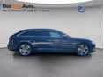AUDI A6 2024/10 - 8