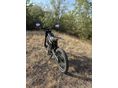 TALARIA STING PRO MX5 2025/4 - 3