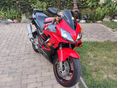 HONDA CBR 600 F4 2006/11 - 2