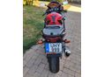 HONDA CBR 600 F4 2006/11 - 6