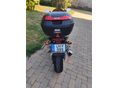 HONDA CBR 600 F4 2006/11 - 7