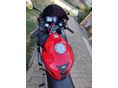 HONDA CBR 600 F4 2006/11 - 11