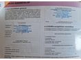 CITROEN C3 PICASSO 2009/2 - 12